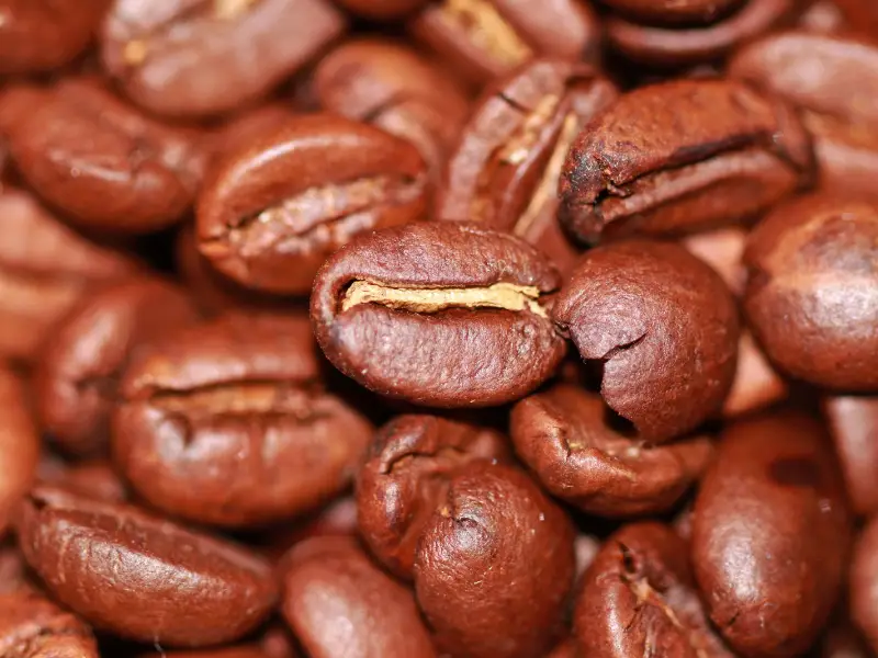 American Coffee Premium - Image 2